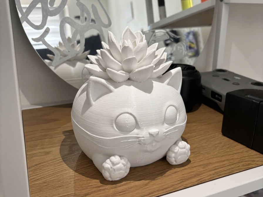 Chubby Succulent Cat | Cute Kawaii Planter