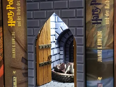 Sleeping Dragon Book Nook