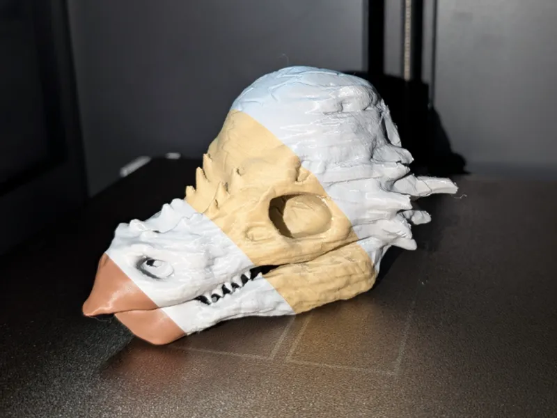 Pachycephalosaurus Skull Fossile