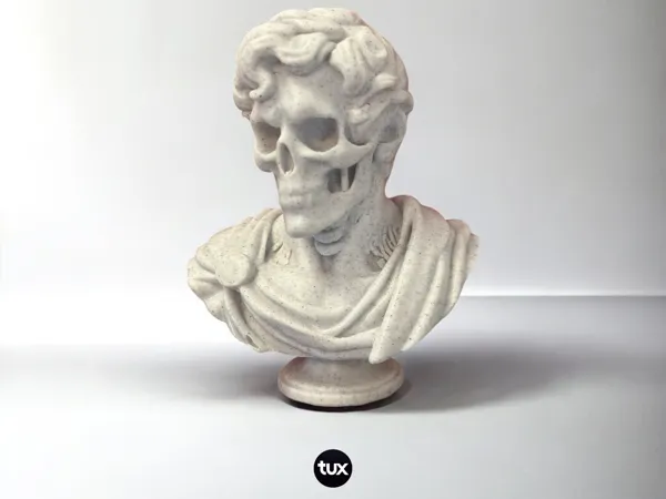 https://makerworld.bblmw.com/makerworld/model/USa62238452bdc83/design/2025-03-12_6e8dd1bb34585.jpeg