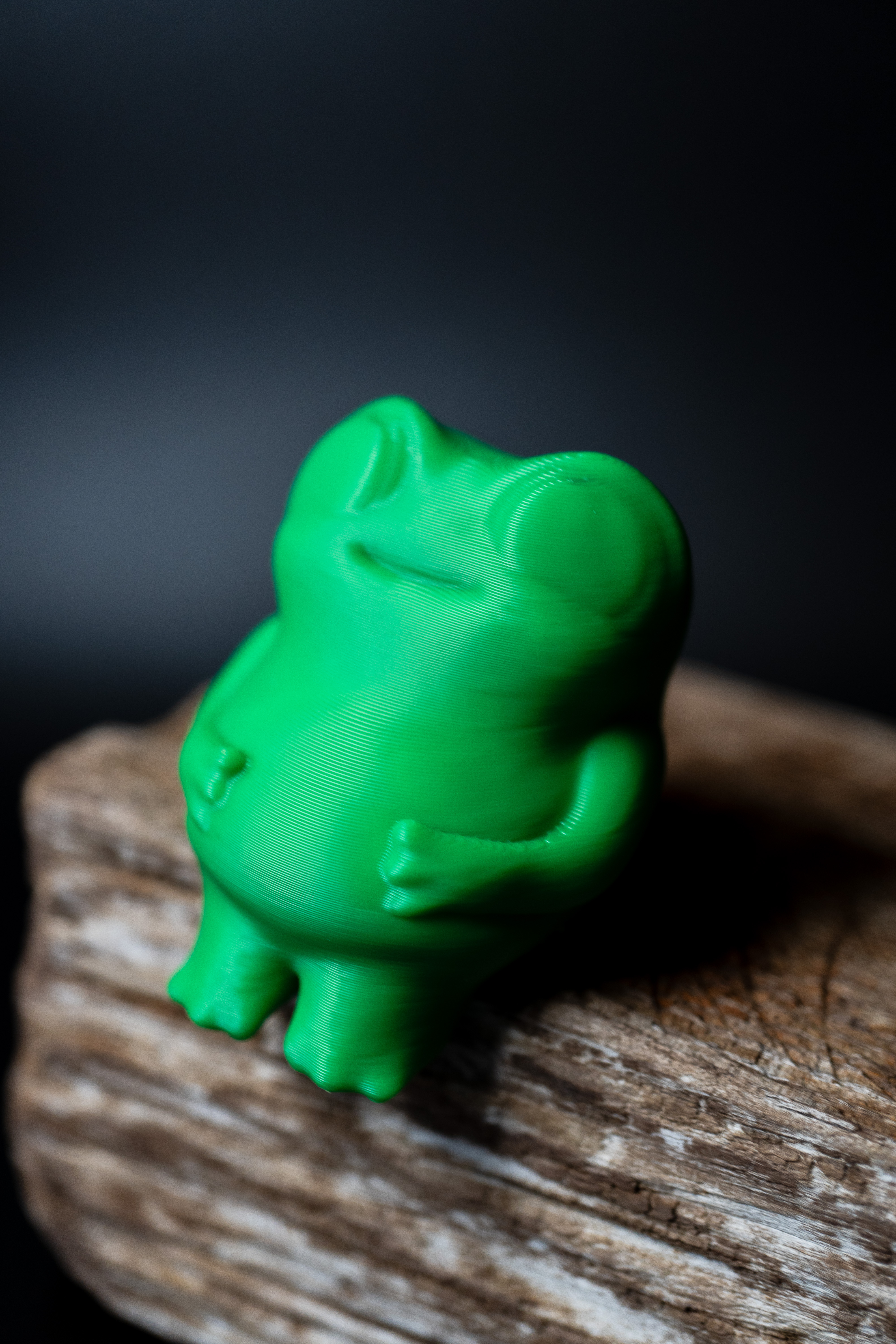 Miniatura 2 do modelo 3D Sitting Tiny Butt Frog