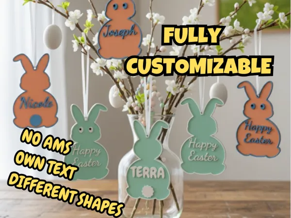 https://makerworld.bblmw.com/makerworld/model/USa62c99b68e8fe/design/c9d56de1fb5b7807.png