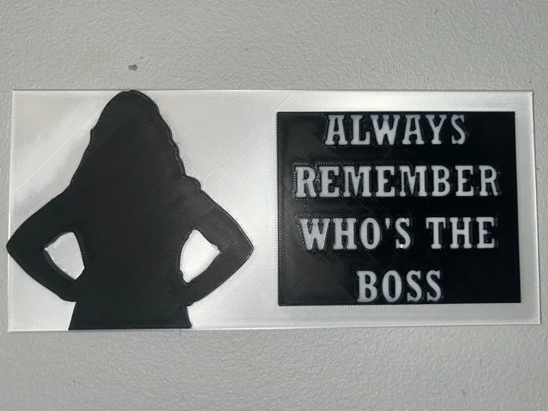 Bossy Lady
