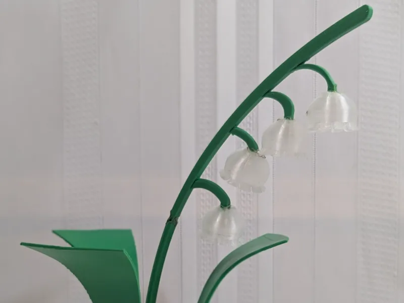 Lily of the Valley