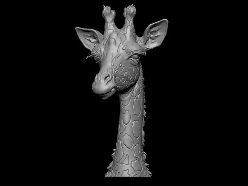 Girrafe Head