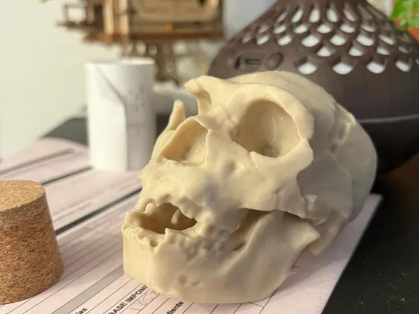 https://makerworld.bblmw.com/makerworld/model/USa64376f1bdd332/design/2025-08-04_dab8ab771c3178.jpg