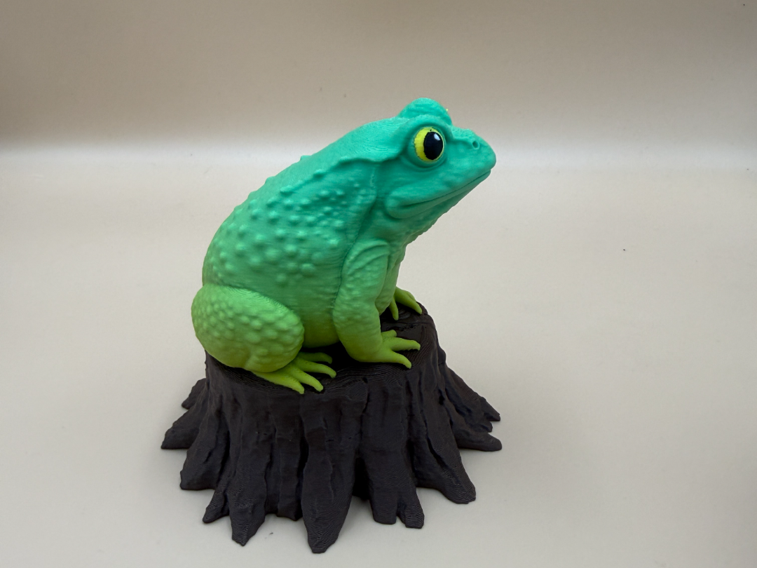 Toad on Tree Stump