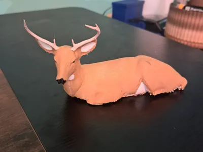 Whitetail Buck