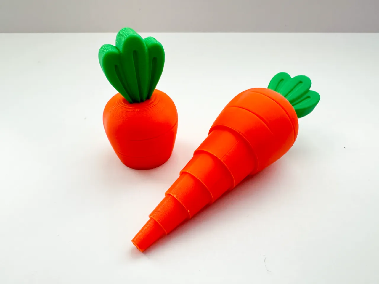 Carrot Garden view 4