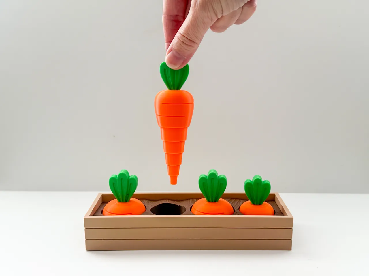 Carrot Garden view 2