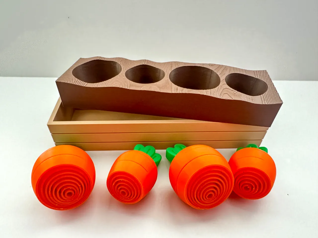 Carrot Garden view 3