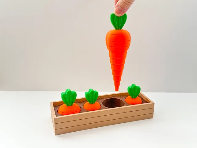 Carrot Garden