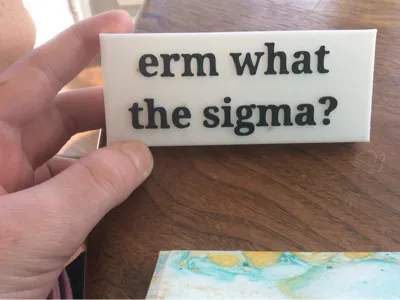 erm what the sigma