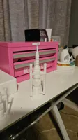 6 Inch Tree Model