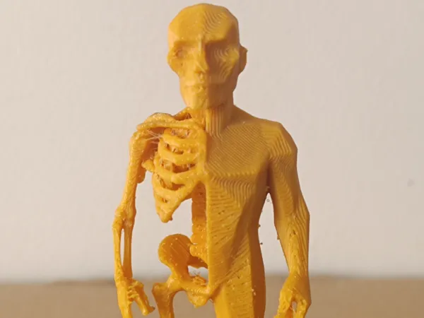 https://makerworld.bblmw.com/makerworld/model/USa65516574d4ade/design/2025-07-29_b1bc2c18f4a2c.jpeg