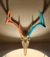 A1 Mini - Max Size - Split Skull and Antlers - 3 Plates
