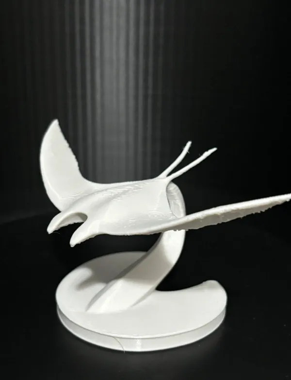 https://makerworld.bblmw.com/makerworld/model/USa656c242751bbe/design/2024-12-03_a85d8d570d3c9.jpeg