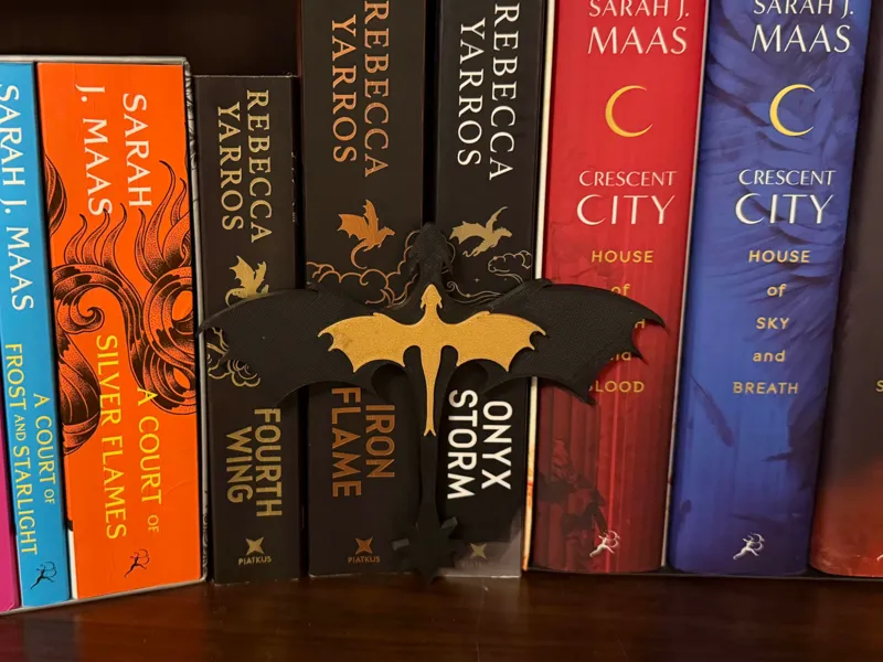 Fourth Wing Embedded Dragons Book Insert
