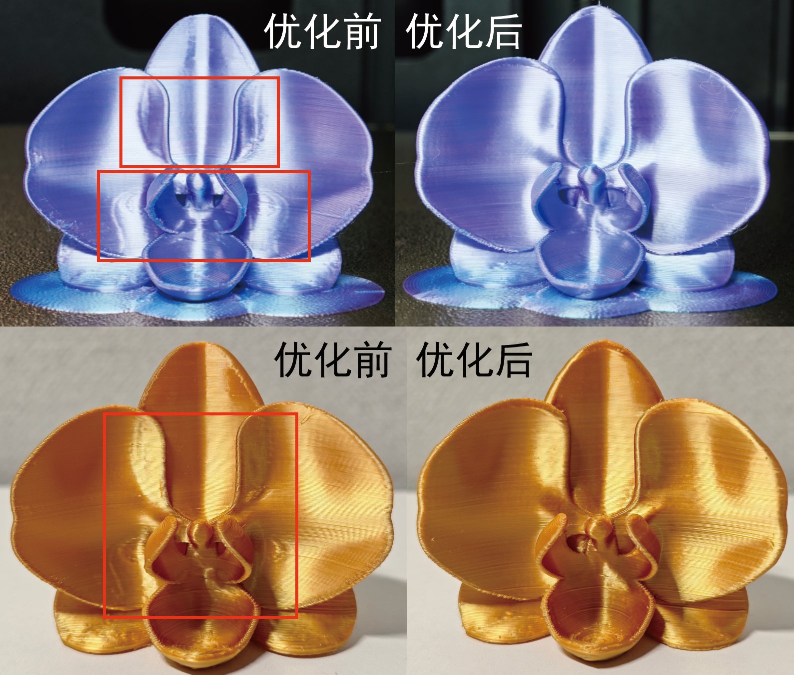 Miniatura 3 do modelo 3D 蝴蝶兰