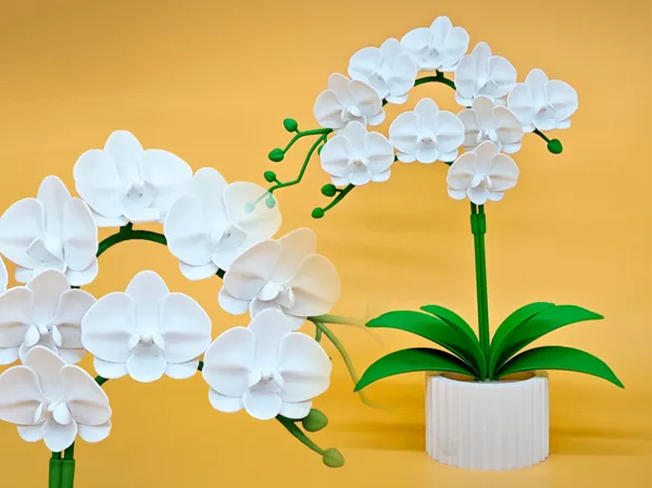 https://makerworld.bblmw.com/makerworld/model/USa65bcb72590635/design/2026-01-20_0589f21a5103d.jpg