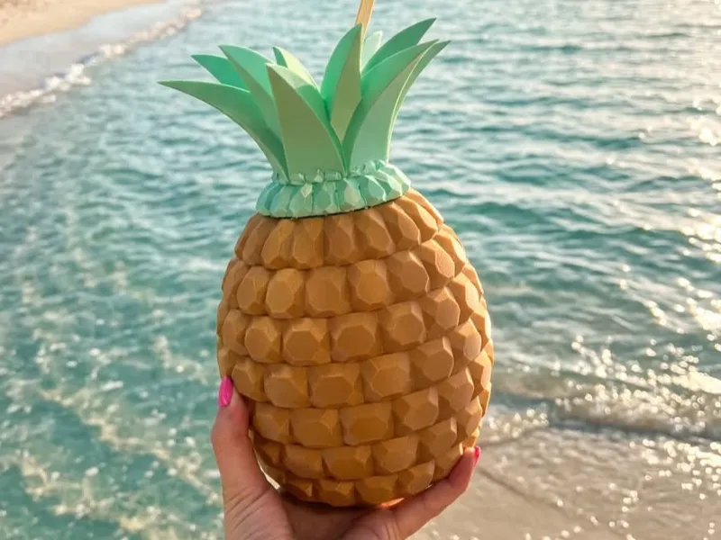 Pineapple Can Hideout / Drink Holder (500ml)