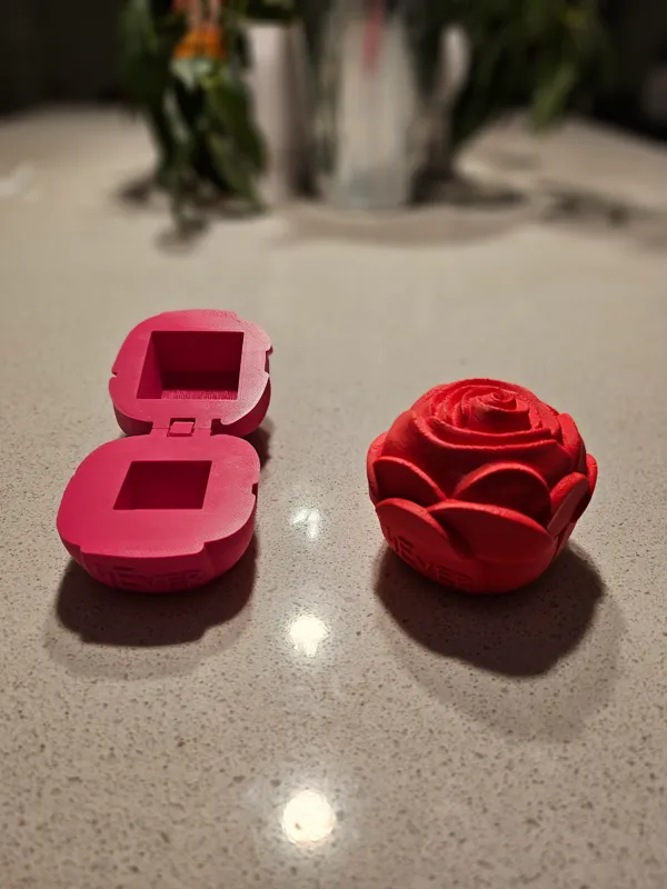 https://makerworld.bblmw.com/makerworld/model/USa65e6d98024de0/design/2024-01-24_4199f2d4e25b1.jpg