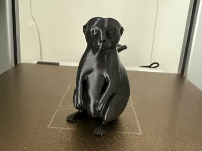 Meerkat Shaker