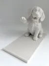 Single Color - 0.2mm layer, 2 walls, 15% infill