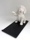 Two Color (AMS) - 0.2mm layer, 2 walls, 15% infill