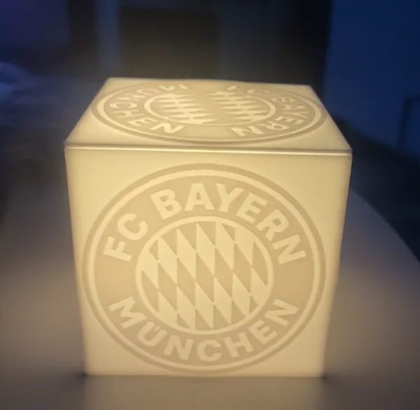 https://makerworld.bblmw.com/makerworld/model/USa661d81615551e/design/2024-12-14_24e46a817f87.jpg