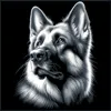 Size 200x200 X1/P1/A1 - no border and thicker