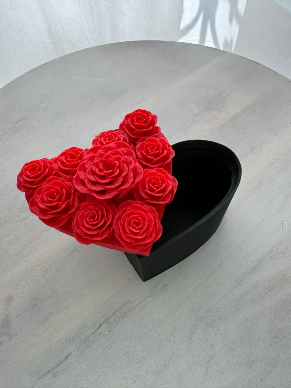 https://makerworld.bblmw.com/makerworld/model/USa668ff0bb1ca3b/design/2024-05-02_5bf450a8b77d9.jpeg