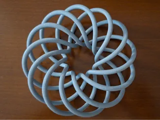 Infinity Knot Torus