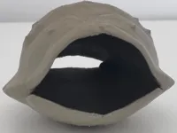 Abri façon carapace pour araignée sauteuse — photo 1