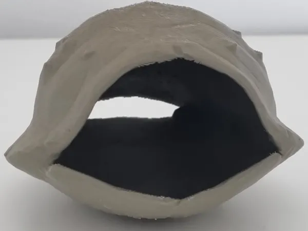 Abri façon carapace pour araignée sauteuse