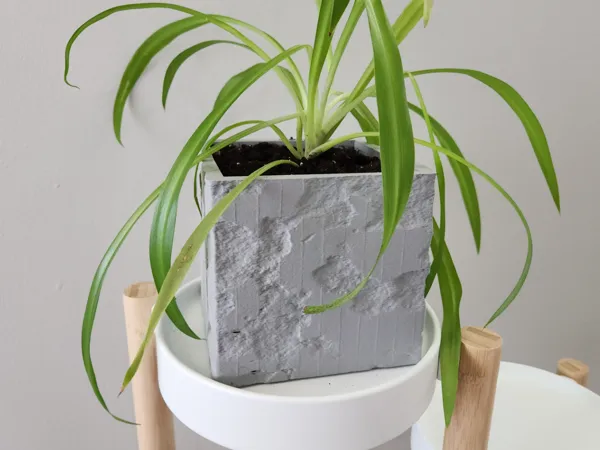 https://makerworld.bblmw.com/makerworld/model/USa66b2957b7235/design/2025-06-07_a1dab0107e5af8.jpg