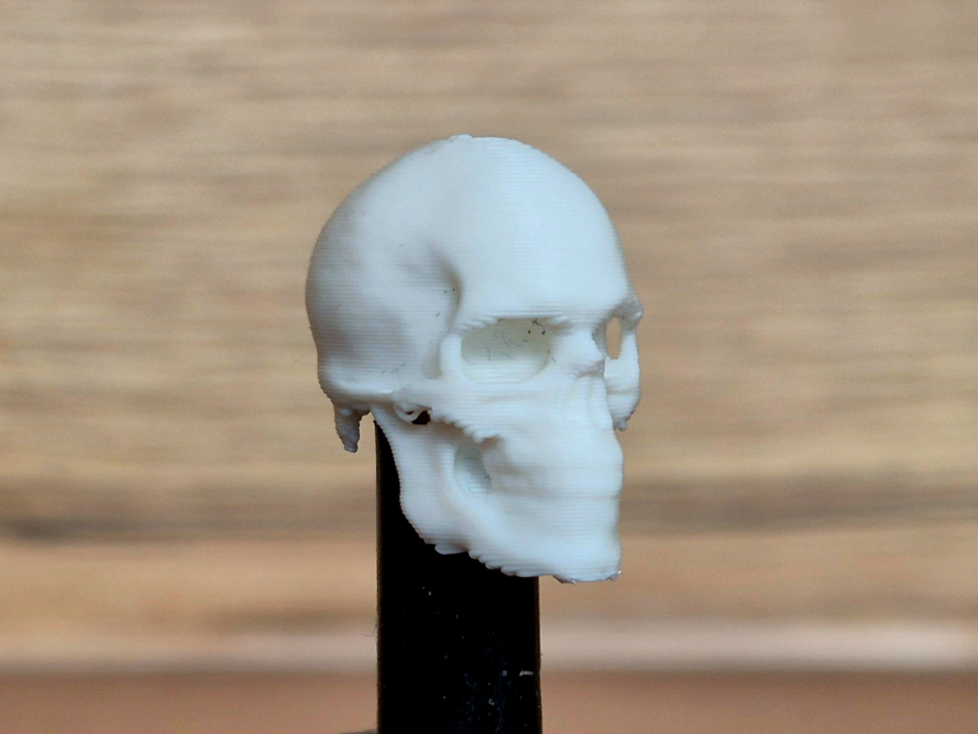 Skull Valve Cap
