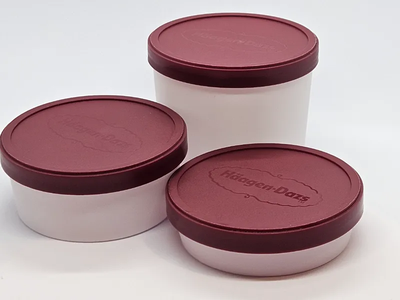 Haagen Dazs 5 Size Containers Inc Vase Version Pot