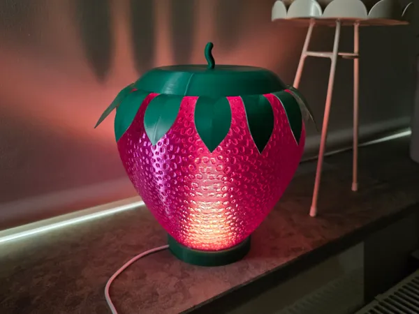 https://makerworld.bblmw.com/makerworld/model/USa677a8485f3d63/design/2025-08-14_f438f3ca3491.jpg