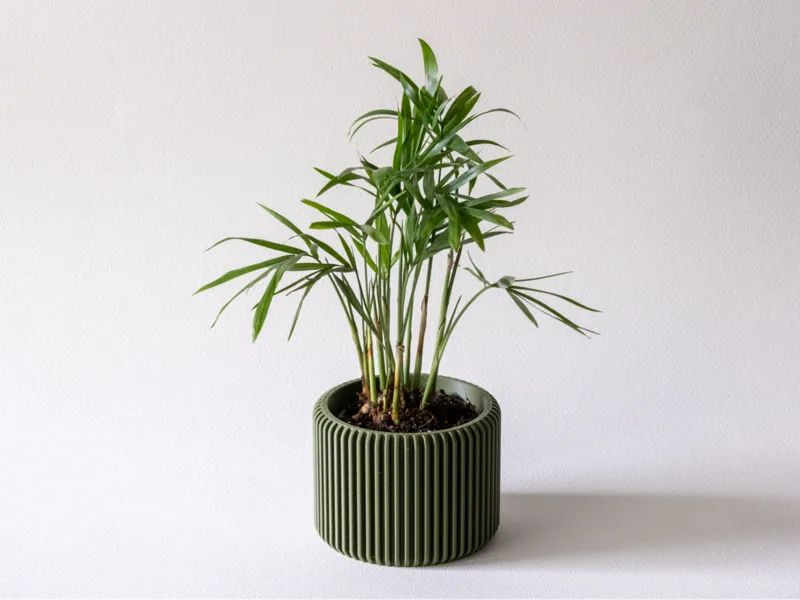 Ribbed Mini Planter