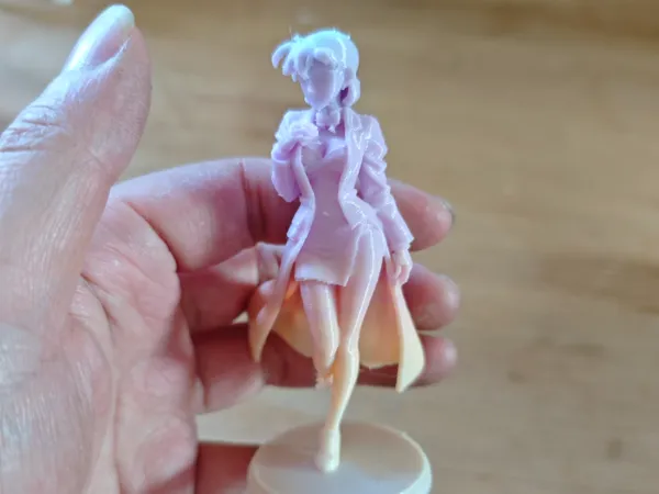 https://makerworld.bblmw.com/makerworld/model/USa677c0a31da134/design/2025-12-02_47efeadcef717.jpg
