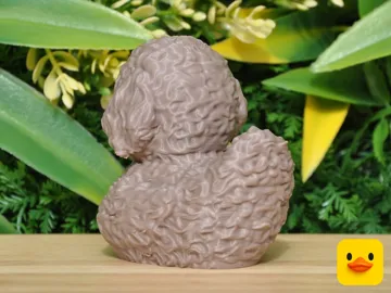 Accesorio para filamento: Golden Doodle Duck — vista de referencia 4