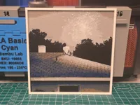0.08mm layer, 2 walls, 100% infill