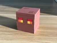 Magma Cube with only one pair of eyes