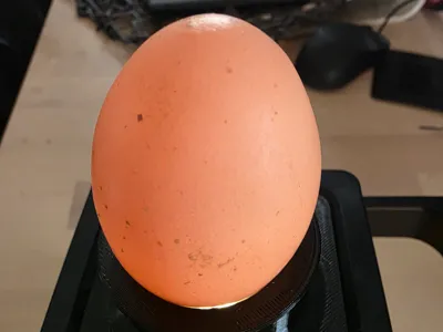 EggLuminate Stand