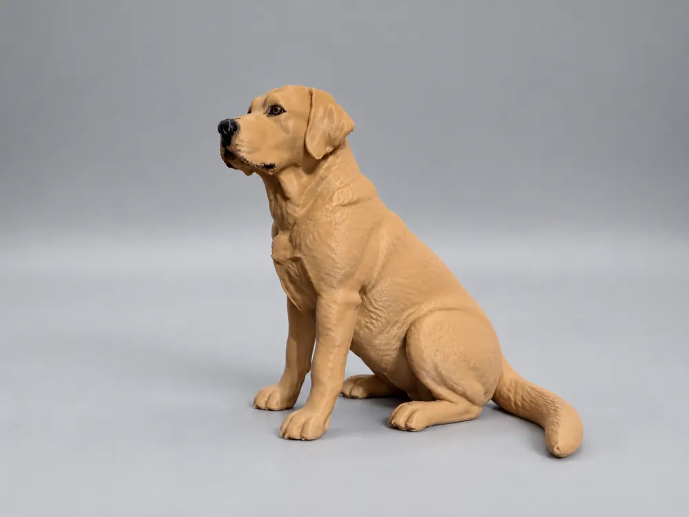 Realistic Labrador Retriever Figurine - Free 3D Print Model - MakerWorld
