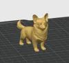 Corgi One Color