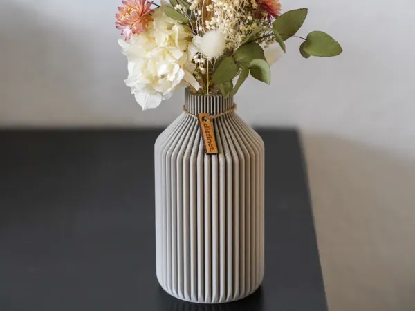 https://makerworld.bblmw.com/makerworld/model/USa687569a1b4820/design/2025-03-27_f352153dd739e.jpg