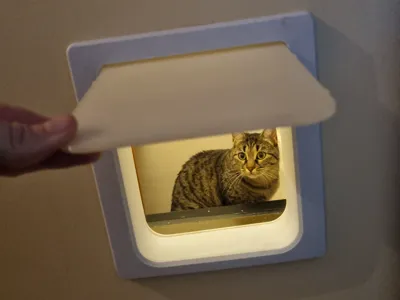 Simple, fully printed cat flap, without screws