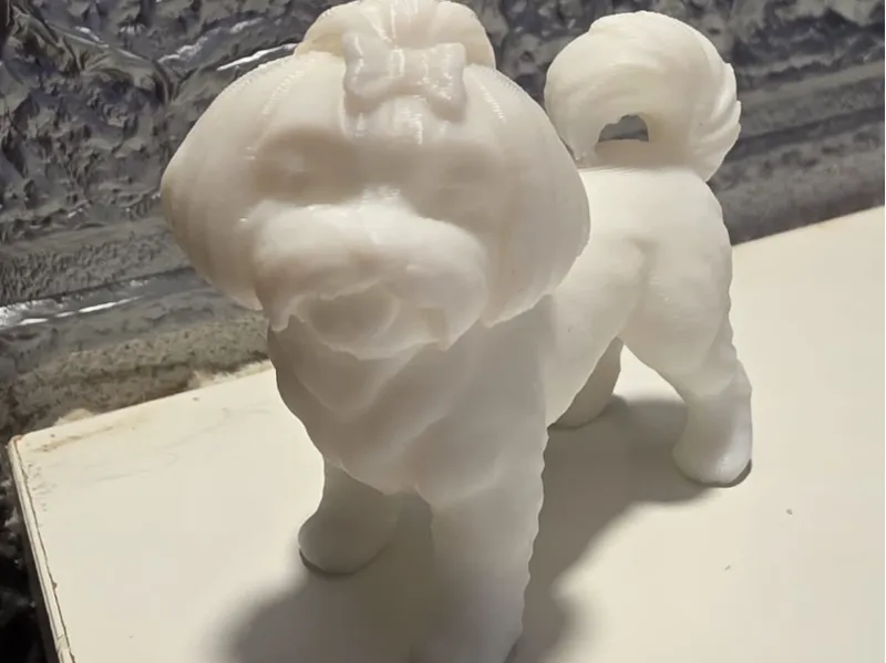Miniatura maltese